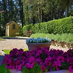La Collegiata - Adults Only San Gimignano
